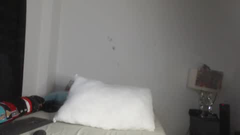 Snapshot of pikoro_gomez chatting on 03/05/25, 11:49 pikoro_gomez online show from 03/05/25, 11:49