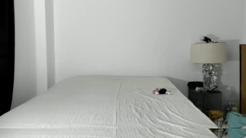 Snapshot of pikoro_gomez chatting on 10/21/25, 01:06 pikoro_gomez online show from 10/21/25, 01:06