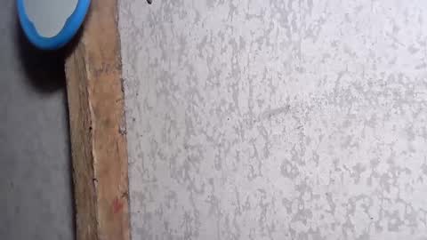 Snapshot of pinay_yummy28 chatting on 12/02/24, 08:22 pinay_yummy28 online show from 12/02/24, 08:22