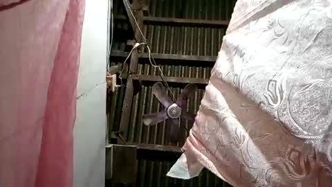 Snapshot of pinaybobs chatting on 03/02/26, 08:48 pinaybobs online show from 03/02/26, 08:48