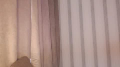 Snapshot of pineapple__mood chatting on 04/24/26, 06:38 online show from 04/24/26, 06:38