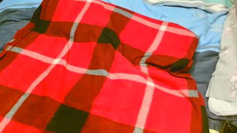 pinewoodman online show from 11/10/25, 07:07