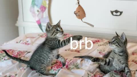 Snapshot of pink_girl0n chatting on 11/06/25, 12:22 Kitty online show from 11/06/25, 12:22