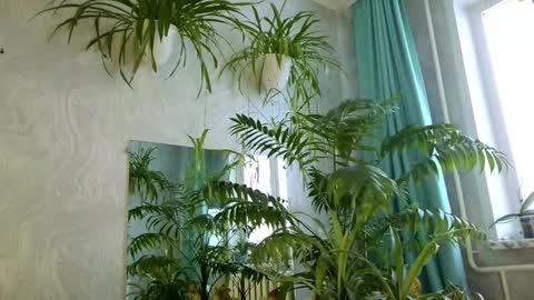 Tatyana online show from 02/11/26, 05:34