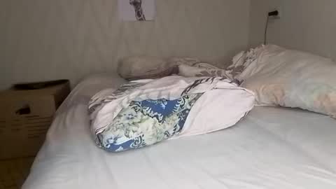 Pikachu pika online show from 12/15/24, 12:07