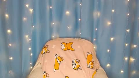 Pikachu pika online show from 01/13/25, 01:23