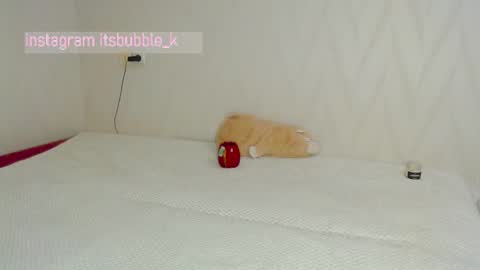 Pikachu pika online show from 03/04/25, 11:00