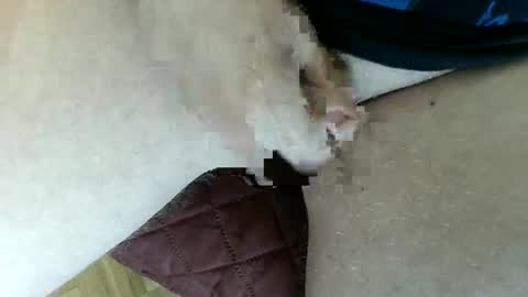 Snapshot of pippo2704 chatting on 01/26/25, 03:47 pippo online show from 01/26/25, 03:47