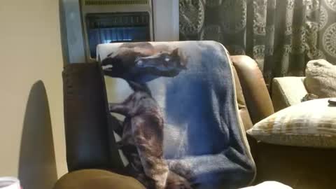 Snapshot of pirate334 chatting on 01/18/26, 04:38 pirate334 online show from 01/18/26, 04:38