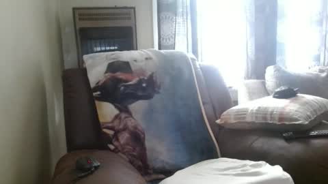 Snapshot of pirate334 chatting on 02/03/26, 08:47 pirate334 online show from 02/03/26, 08:47