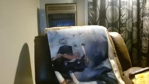 pirate334 online show from 03/24/26, 03:55