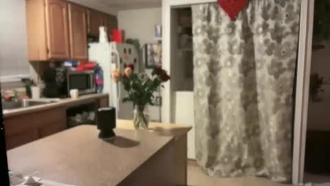 Snapshot of pirdybirdyxo chatting on 01/30/25, 04:06 pirdybirdyxo online show from 01/30/25, 04:06