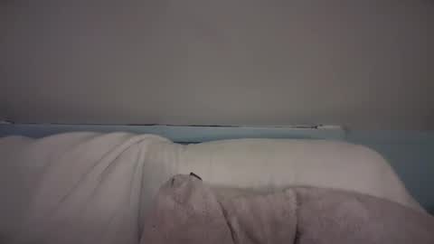 Snapshot of pirdybirdyxo chatting on 02/26/25, 03:42 pirdybirdyxo online show from 02/26/25, 03:42