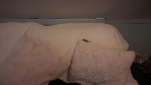 Snapshot of pirdybirdyxo chatting on 03/02/25, 06:37 pirdybirdyxo online show from 03/02/25, 06:37