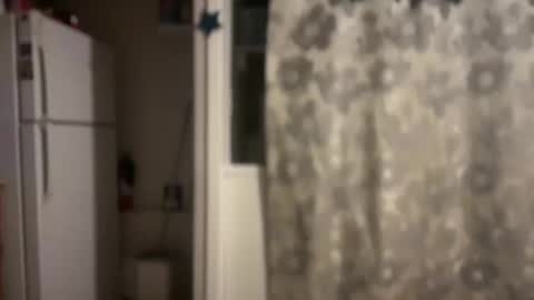 Snapshot of pirdybirdyxo chatting on 03/12/25, 12:31 pirdybirdyxo online show from 03/12/25, 12:31