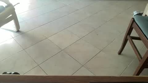 pisellone_xxl online show from 09/19/25, 01:01