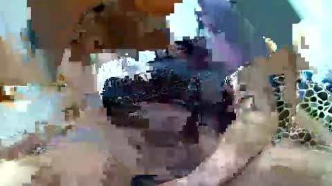 pislezg1 online show from 02/07/25, 11:45