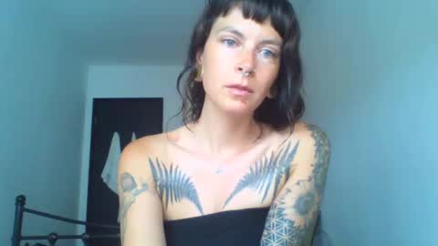 pixiecatfairy online show from 09/17/25, 09:44