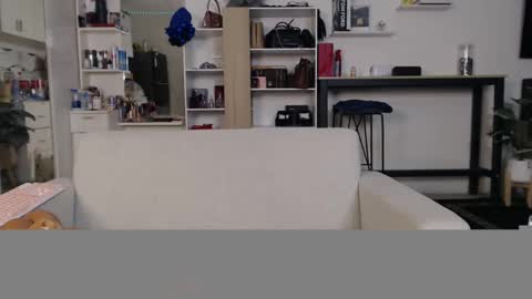 plasticgirll online show from 01/11/25, 05:51