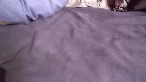 Snapshot of platoniclov chatting on 11/09/25, 05:50 platoniclov online show from 11/09/25, 05:50