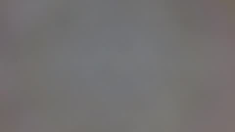 playboytit online show from 12/20/24, 09:43