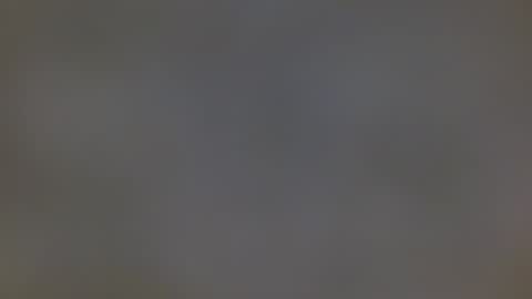 playboytit online show from 12/27/24, 10:55