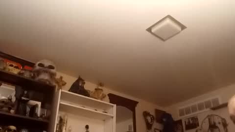 playeharley71 online show from 02/16/25, 03:04