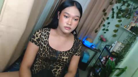 sie online show from 01/12/26, 08:36