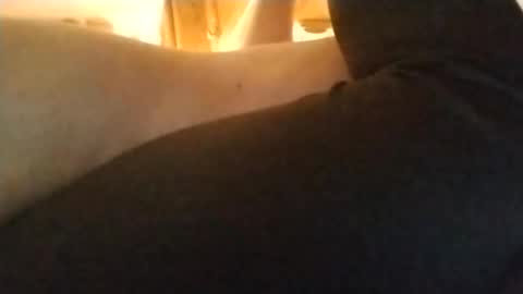 Snapshot of playfulpair7982 chatting on 11/05/25, 05:35 Nichole Vixen Jacob online show from 11/05/25, 05:35