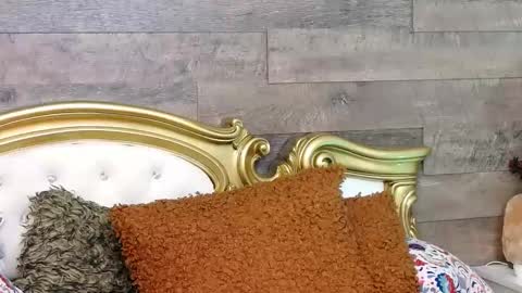 PlayfulSamy online show from 01/13/25, 11:30