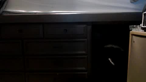 Snapshot of pleasantdinosaurus7537 chatting on 11/17/25, 01:00 pleasantdinosaurus7537 online show from 11/17/25, 01:00