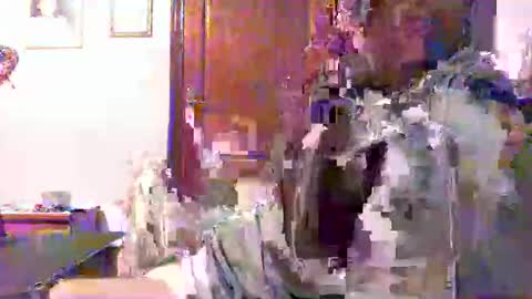 Snapshot of plu07f3520 chatting on 04/09/26, 12:43 plu07f3520 online show from 04/09/26, 12:43