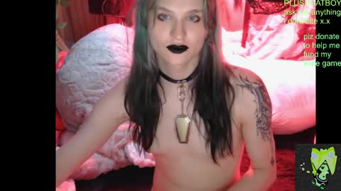 plushcatboy online show from 04/21/26, 04:08