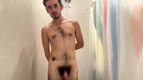 Pluto The Pup online show from 11/18/25, 08:46