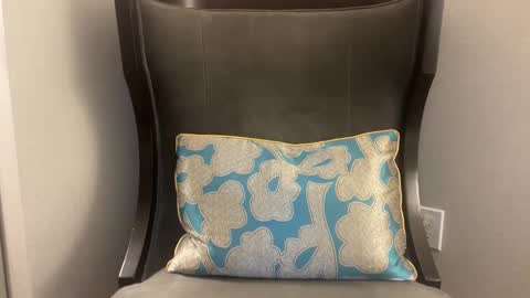 Snapshot of pluz69 chatting on 01/08/26, 11:34 pluz69 online show from 01/08/26, 11:34