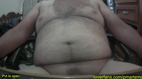 Snapshot of pmartemo chatting on 03/28/26, 07:13 pmartemo online show from 03/28/26, 07:13