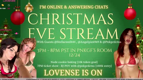 Snapshot of pnkgf chatting on 12/24/24, 11:00 pnkgf online show from 12/24/24, 11:00