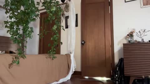 Snapshot of pnkgf chatting on 02/19/25, 12:46 pnkgf online show from 02/19/25, 12:46
