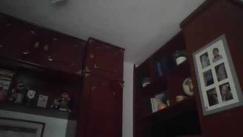 Snapshot of pocoyotop chatting on 03/22/26, 12:47 pocoyotop online show from 03/22/26, 12:47