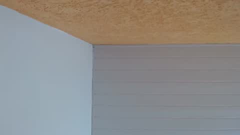 podolatra3 online show from 02/19/26, 01:34