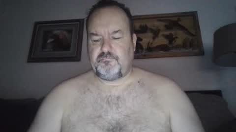 Snapshot of polarisman74 chatting on 12/30/24, 06:38 polarisman74 online show from 12/30/24, 06:38