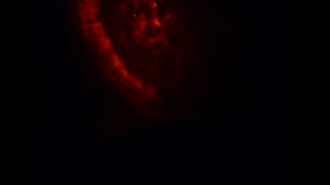 pollachico online show from 11/20/25, 08:14