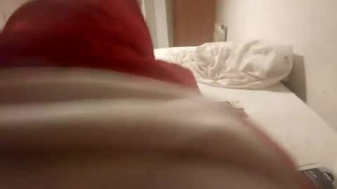 Pollonreus online show from 06/28/26, 04:40