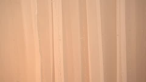    online show from 01/14/26, 10:10