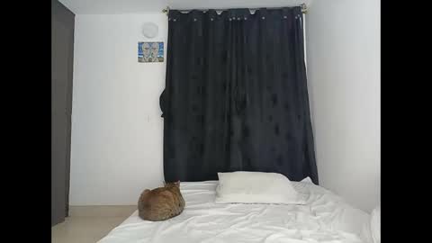 Snapshot of porcelainlux chatting on 03/16/26, 01:22 porcelainlux online show from 03/16/26, 01:22