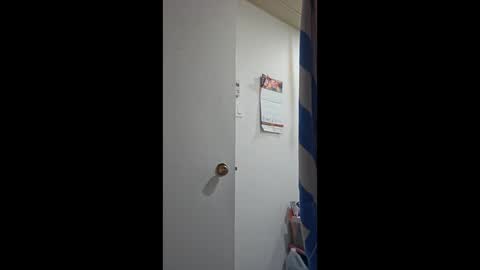 Snapshot of porkynerd chatting on 10/11/25, 12:04 porkynerd online show from 10/11/25, 12:04