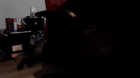 Snapshot of porkypork chatting on 09/09/25, 05:45 porkdaddy online show from 09/09/25, 05:45