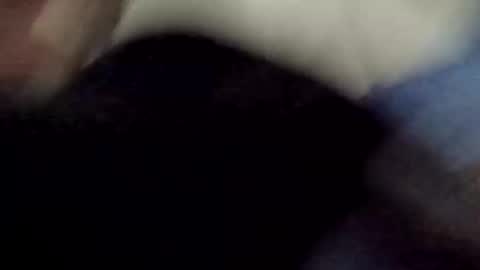 Snapshot of poundgame0710 chatting on 04/08/26, 04:34 PipeLayerPlayer007 online show from 04/08/26, 04:34