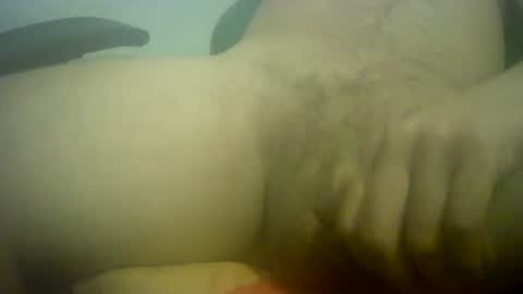 poyarrecha online show from 07/28/26, 12:40