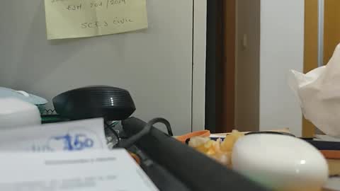 ppillo online show from 11/17/25, 10:48